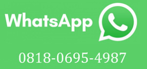 whatsapp small