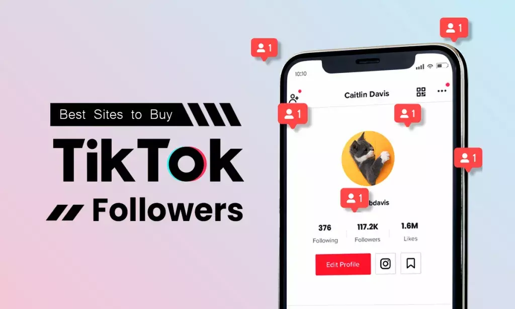 Beli Follower Tiktok dengan Aman dan Mudah